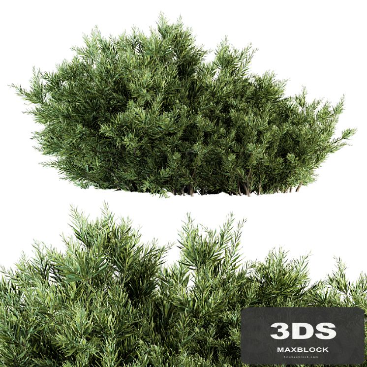 Needle Leaf Bush - Bush Set 26
