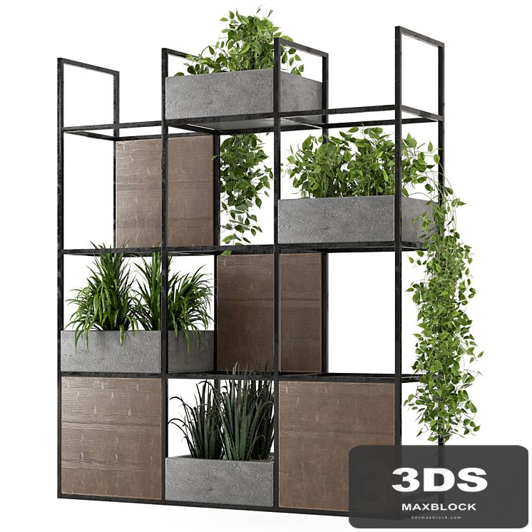 Indoor Plants in rusty Concrete Pot on Metal Shelf - Set 122