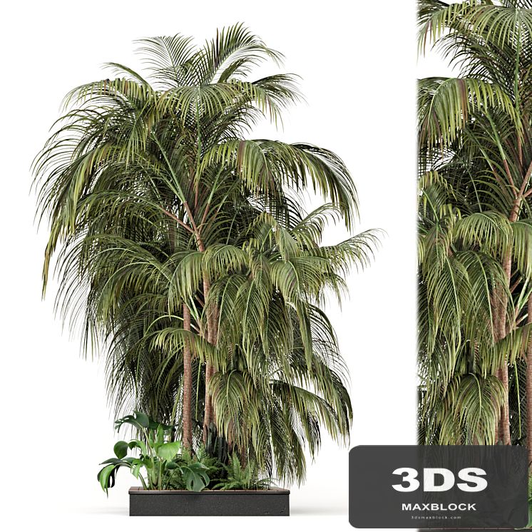 Outdoor Garden set bush and Tree - Garden Set 126