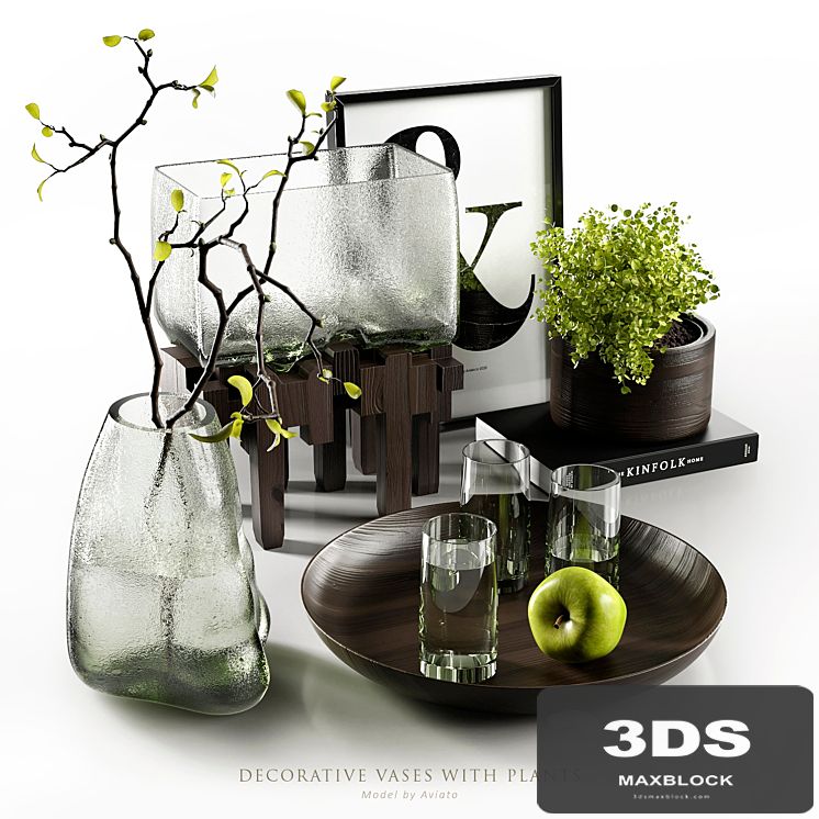 Decorative vases with plants