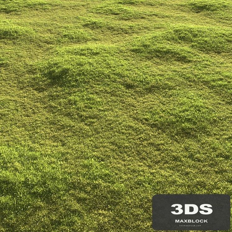 Garden grass