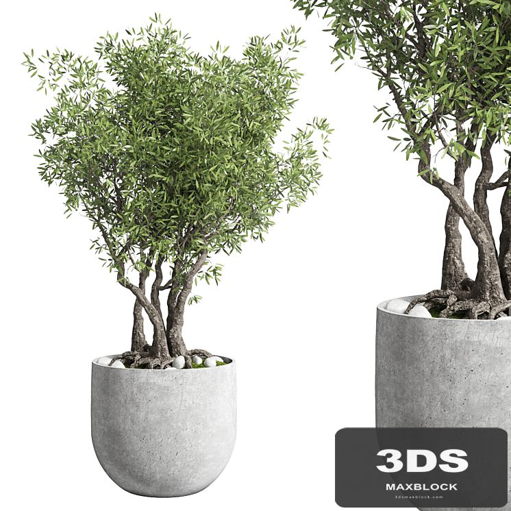 Outdoor plant 28 concrete vase