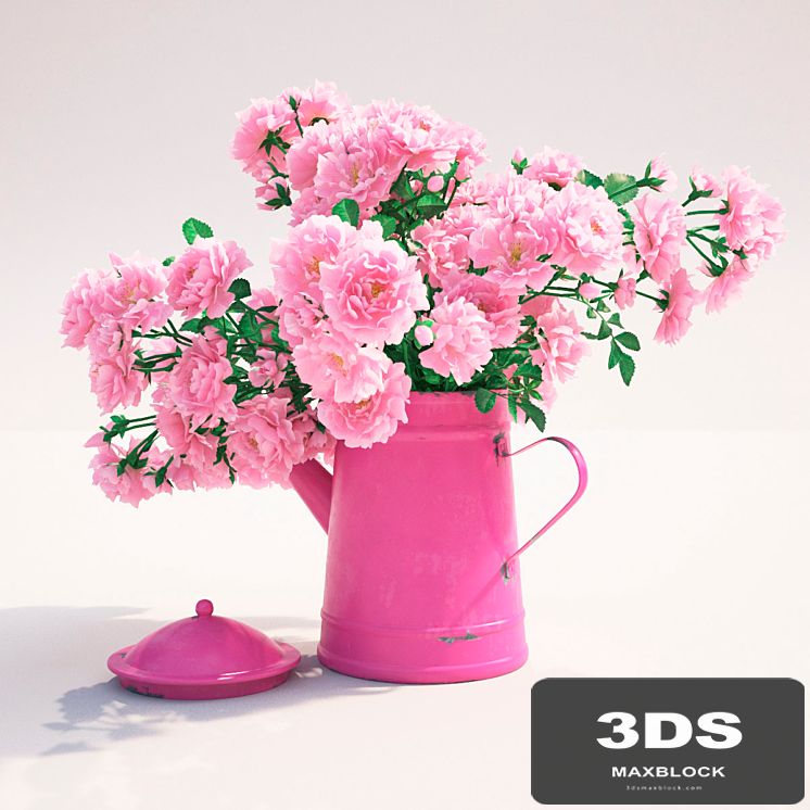 Roses 1