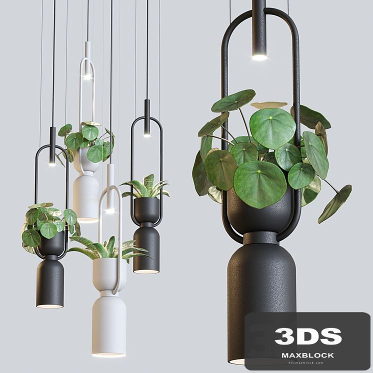 Pendant lamp luxcambra OXYGEN