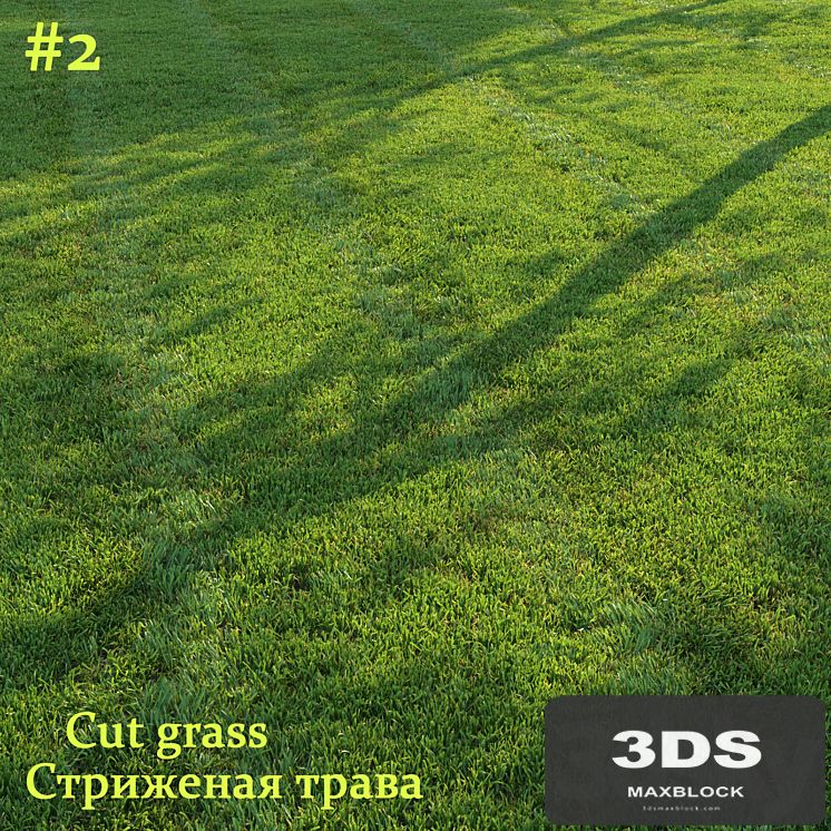 Cut grass #2