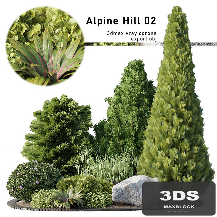 Alpine Hill 02