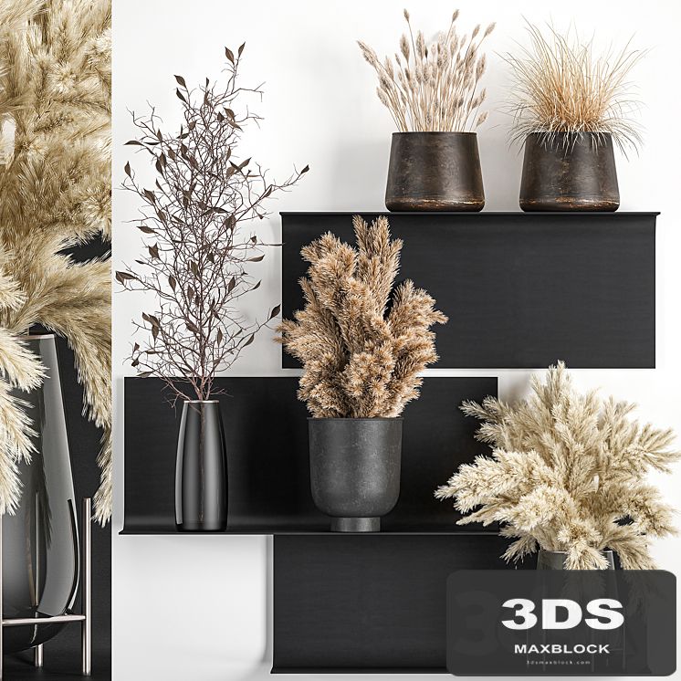 A set of bouquets of dried flowers in vases on a black metal shelf made of Pampas branches, reeds. 119