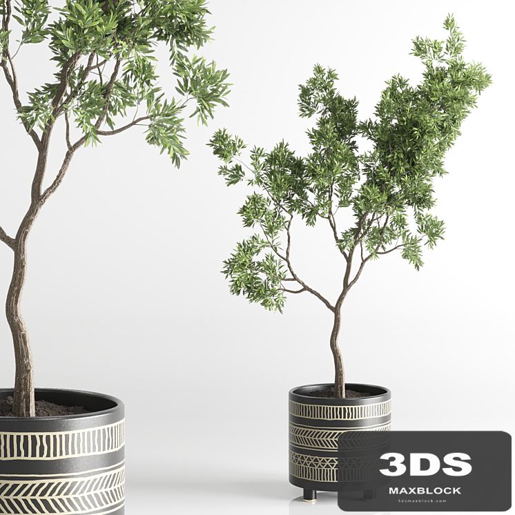 Indoor plant 56 vase handmade pottery plant tree pot