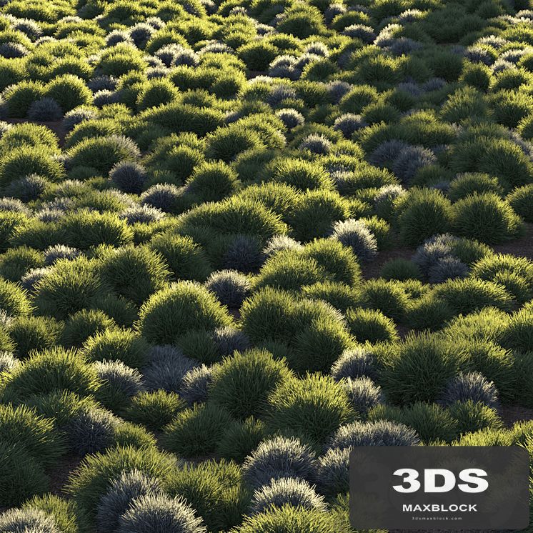 Round grass