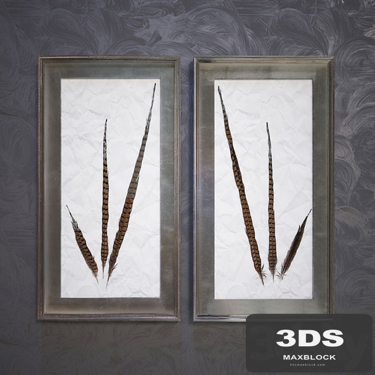 Pheasant Feathers