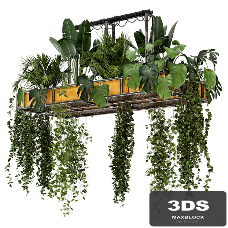 Indoor Hanging Plants in Metal Box - Set 146