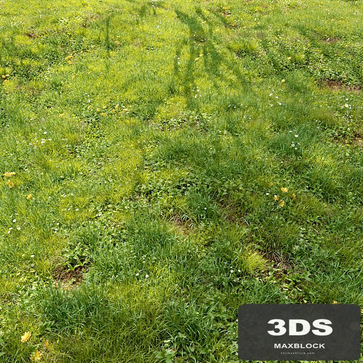 Meadow 3