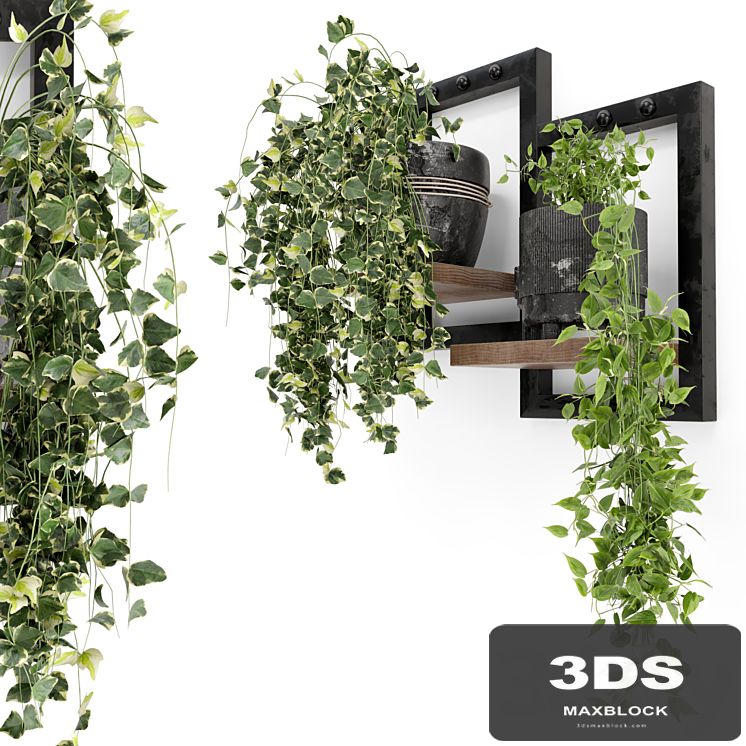 Indoor Plants in rusty Concrete Pot - Set 150