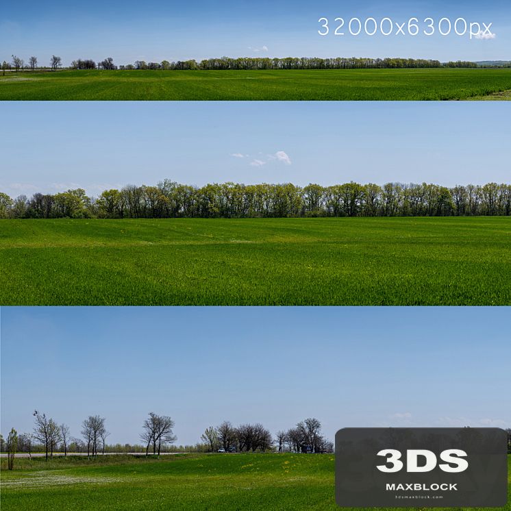 Panorama of a green field with flowers and trees. 32k