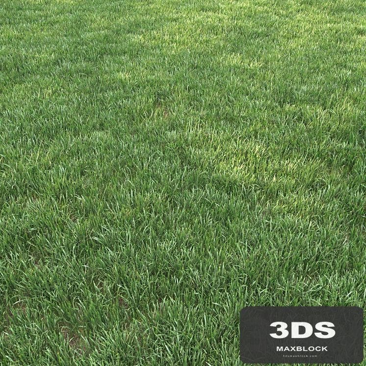 grass for landscape 12