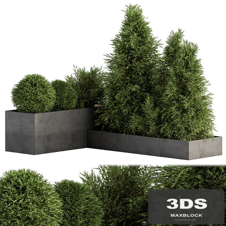 Outdoor Plant Set 231 - Plant Box with Tree