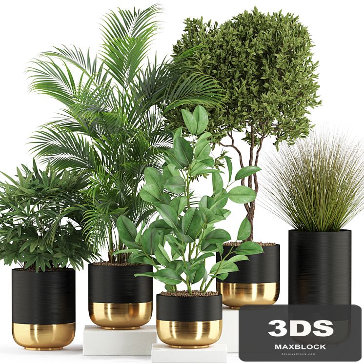 Plants collection 540