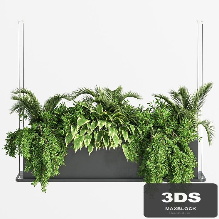 Indoor_Plant_Set_32_ (Hanging_Plants)