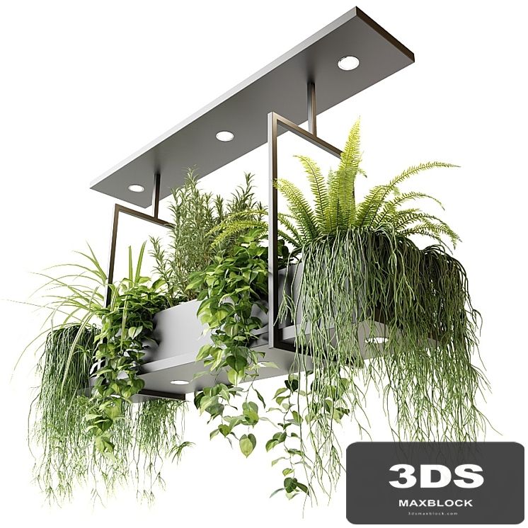 Suspended luminaire with plants OSLO