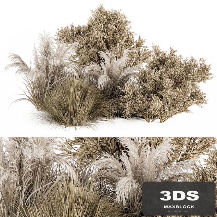 Dried Wild Plants Bush - Bush Set 36