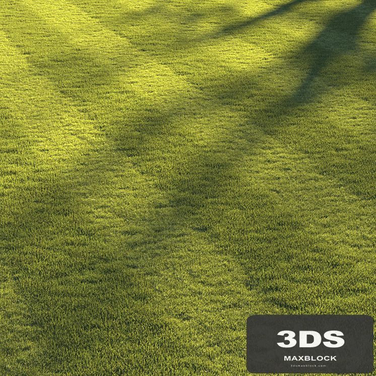 Football pitch lawn