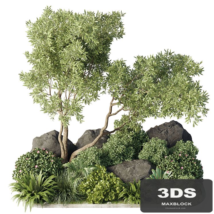 Collection 40 outdoor and indoor pot plant & tree & bush & fern the garden set pot