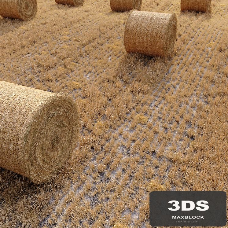 Farm field with hay bale