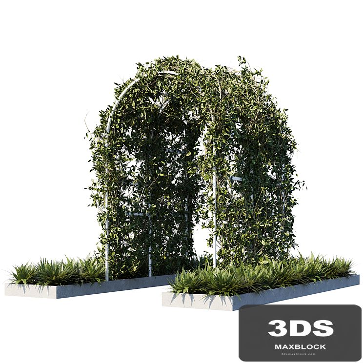 Outdoor_plants01