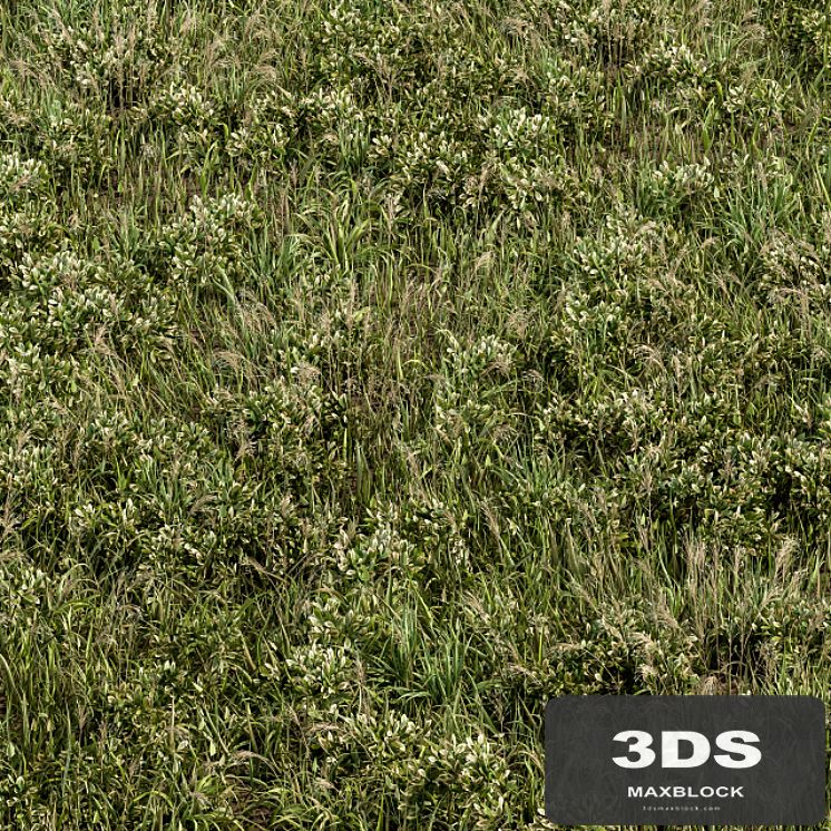 Wild Grass Green - Grass Set 01