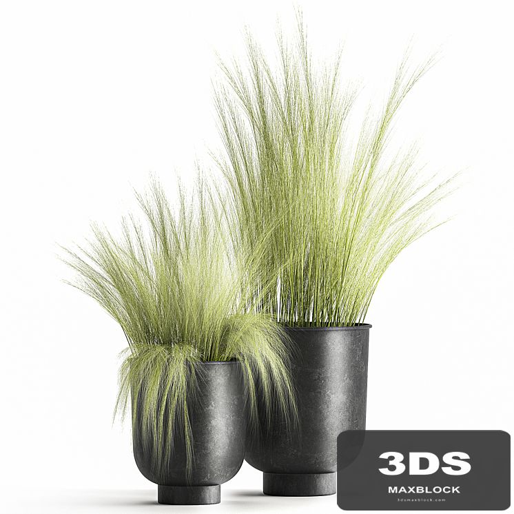 Collection of plants in black metal pots with bush grass grass. Set 1004.