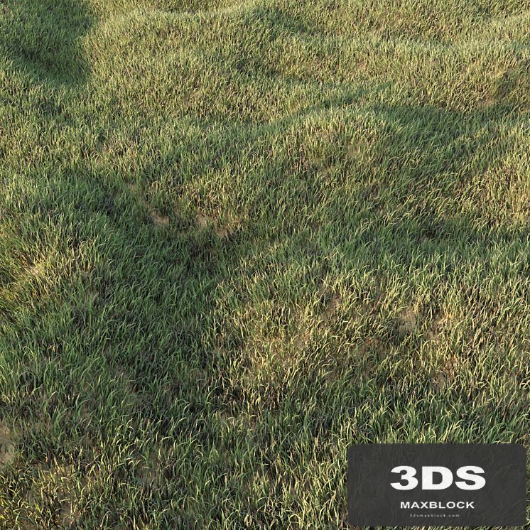 Grass Collection 5