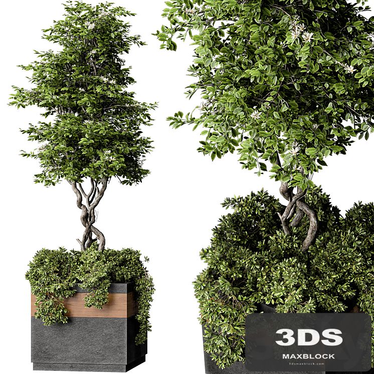 Outdoor Plant Set 01
