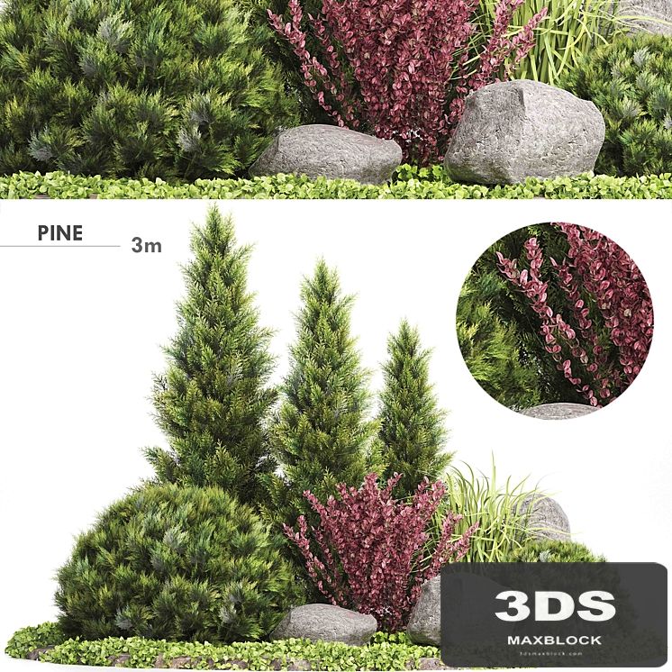Set Plants 223 - Outdoor Garden