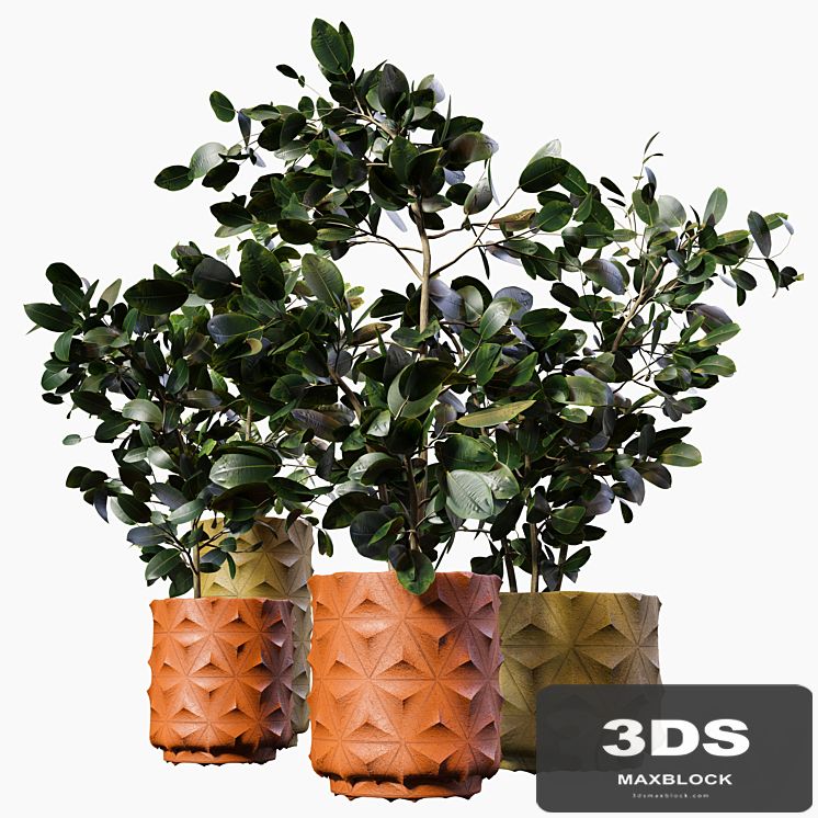 Plant-pot06