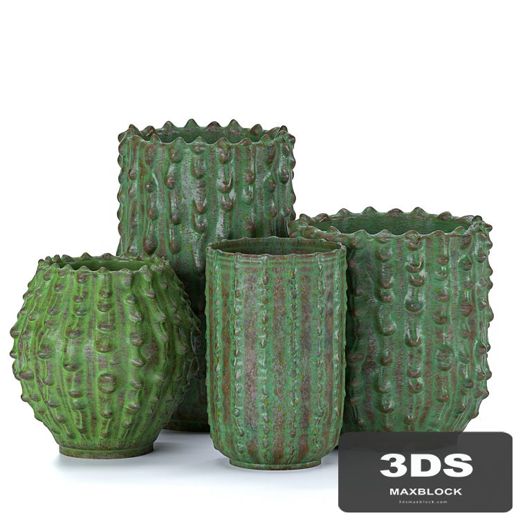 Decorative vases Cactus
