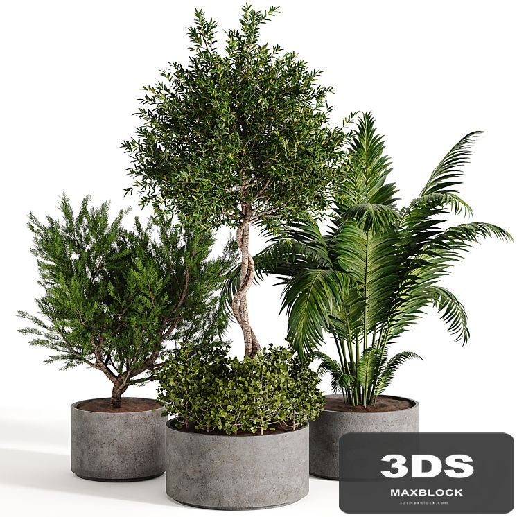 Outdoor plant collection 02