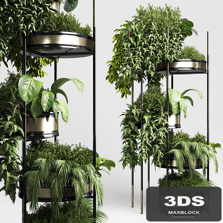 collection Indoor plant plant stairs stand metal vase 10