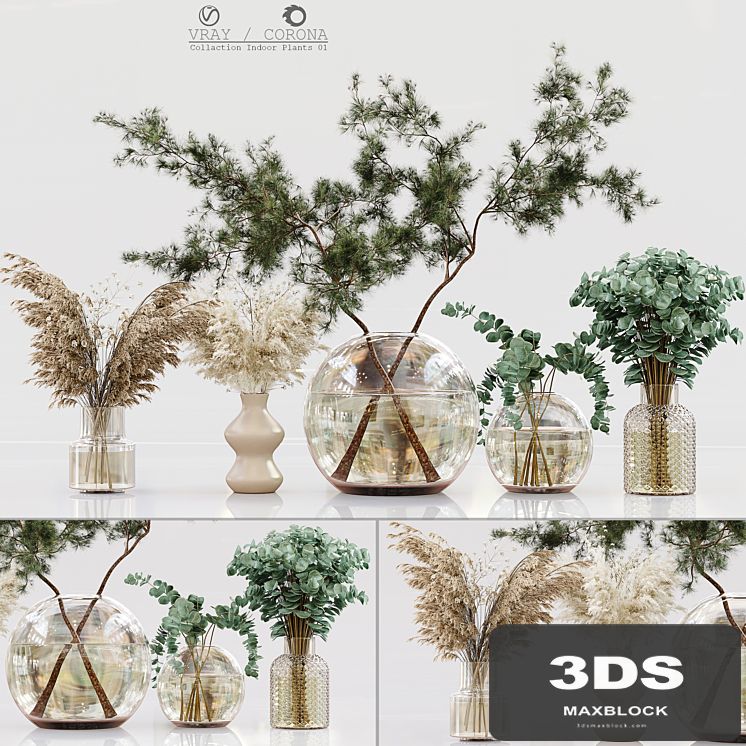 Collection Indoor Plants 01
