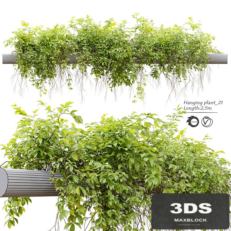 Hanging Plant 21