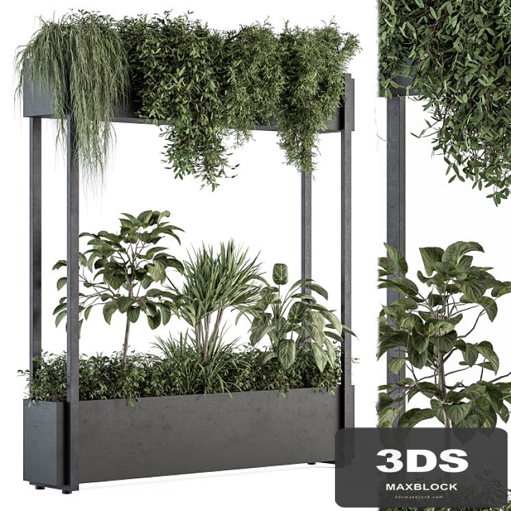 indoor Plant Set 258 - Plant Box Stand
