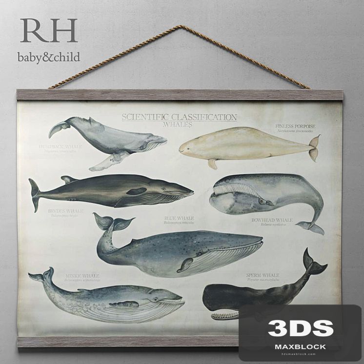 RH / SCIENTIFIC WHALE TAPESTRY