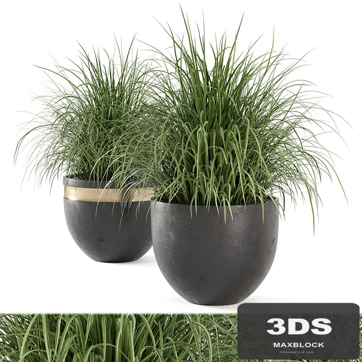 Outdoor Plants Bush in rusty Concrete Pot - Set 186