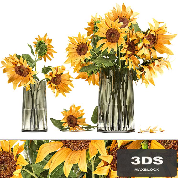 A set of beautiful bouquets of yellow flowers in a vase with Sunflower, Sunflower. 119