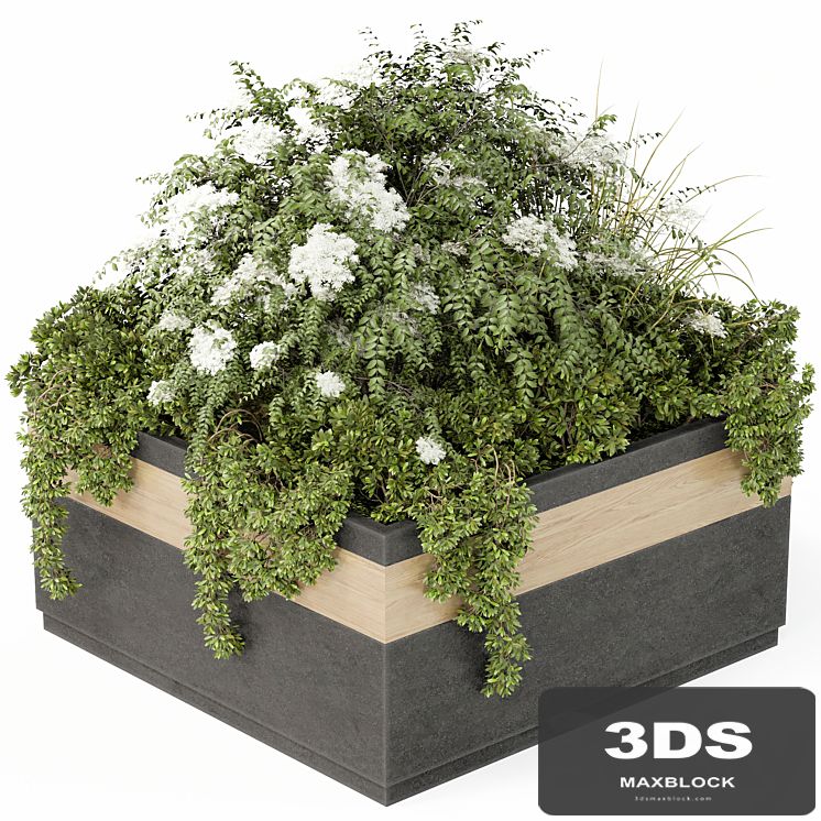 Outdoor Plant Set 02