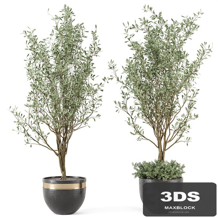 Outdoor bush and Tree in rusty Concrete Pot - Set 204