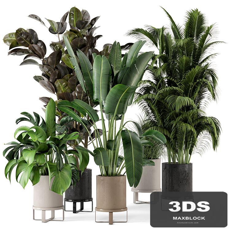 Indoor Plants in Ferm Living Bau Pot Large - Set 206