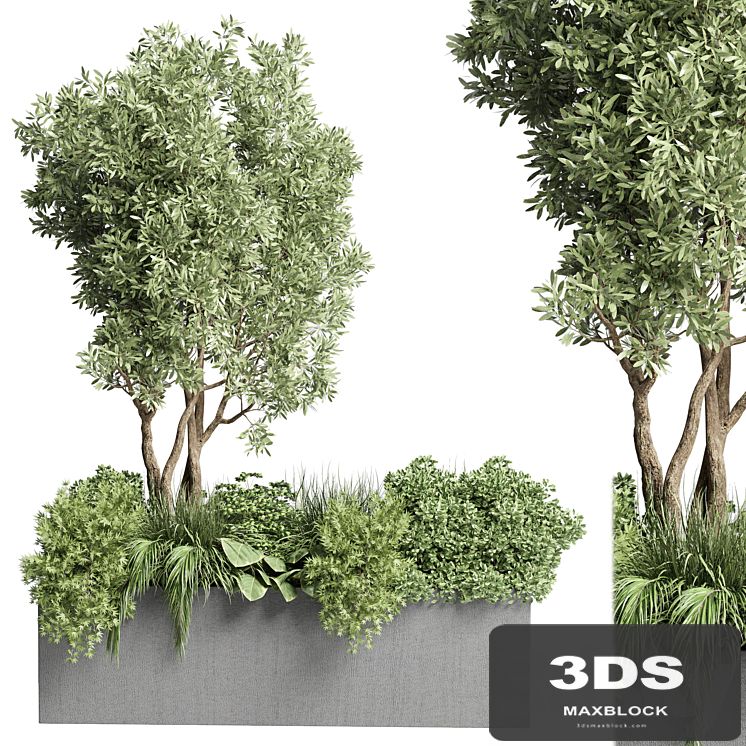 Collection Outdoor plant 47-garden concrete vase bax pot tree and grass bush palm