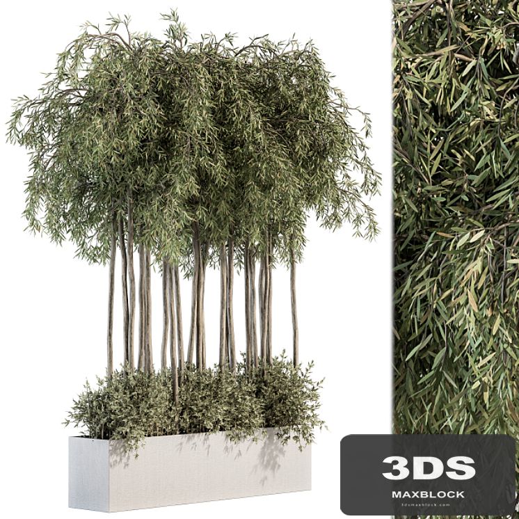 Outdoor Plant Set 264 - Plant Box