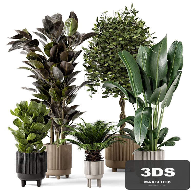 Indoor Plants in Standing Legs Small Bowl Concrete Pot - Set 212