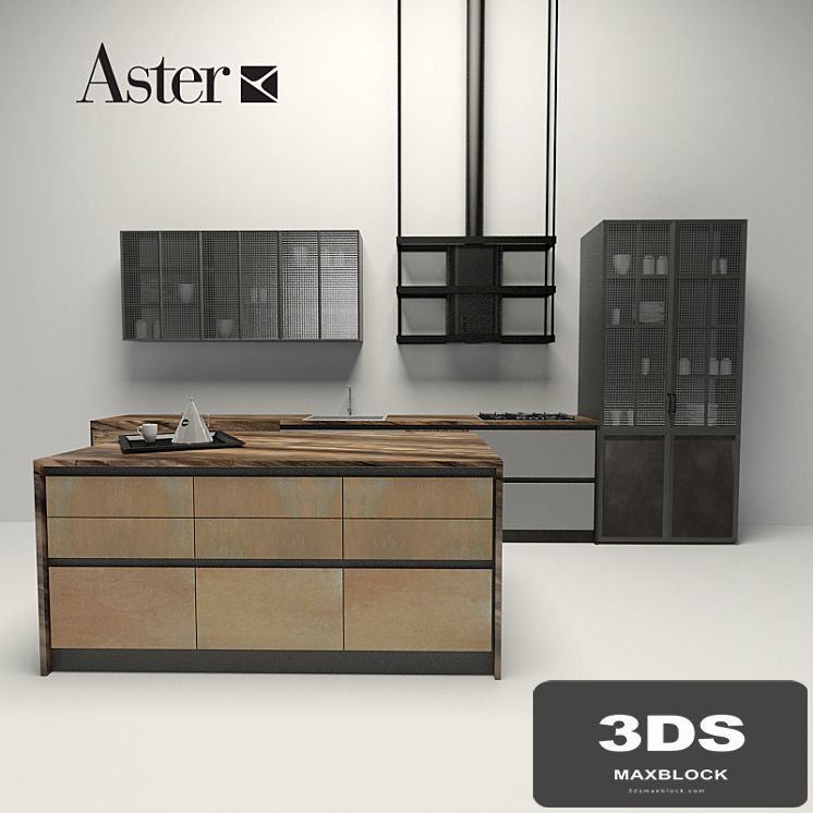 Aster - factory